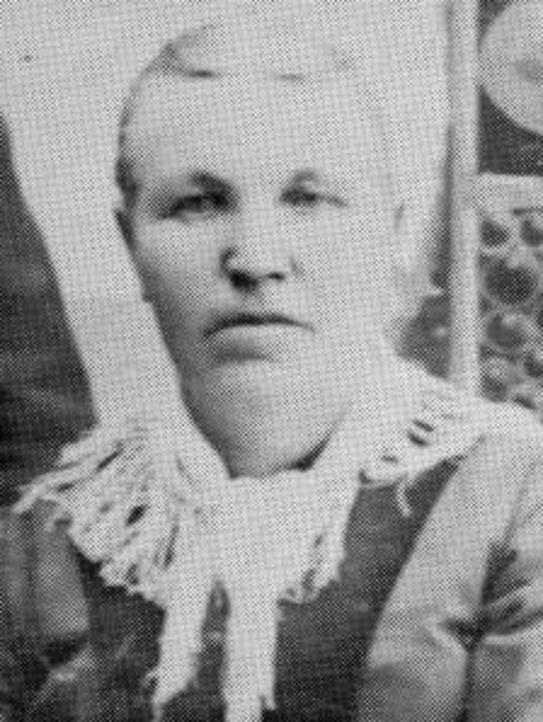 Ann Powell (1840 - 1917) Profile